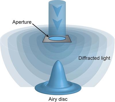 Shedding Structured Light on Molecular Immunity: The Past, Present and Future of Immune Cell Super Resolution Microscopy